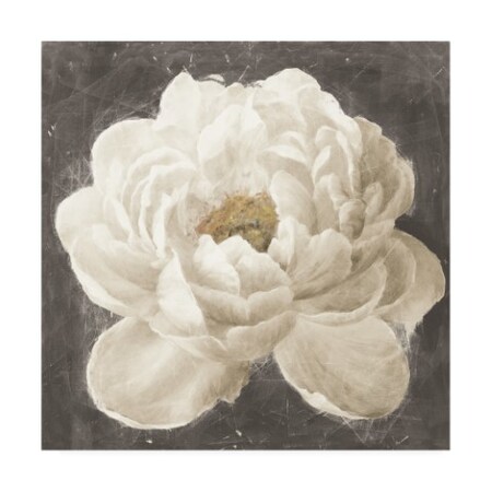 Danhui Nai 'Vivid Floral I White Flower' Canvas Art,18x18